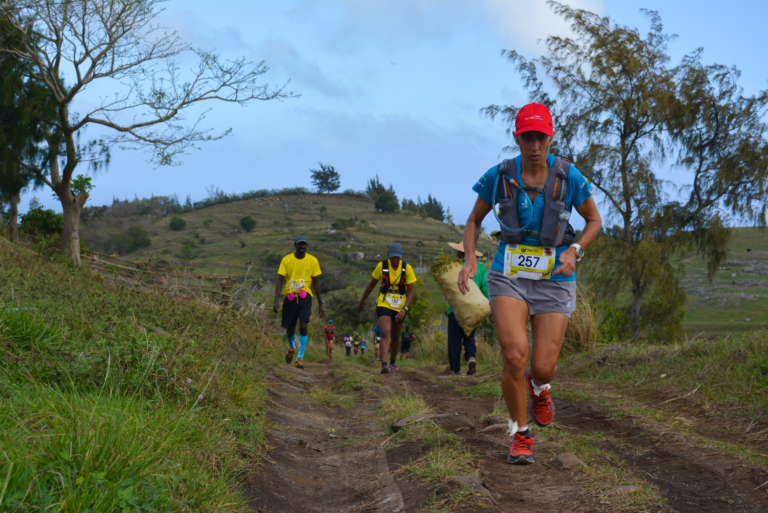 Trail Cardinal Jaune 