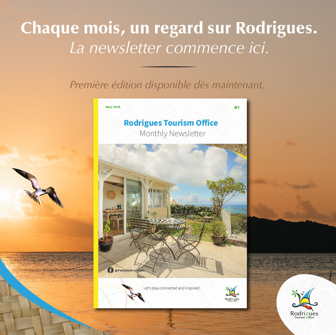 Newsletter_2